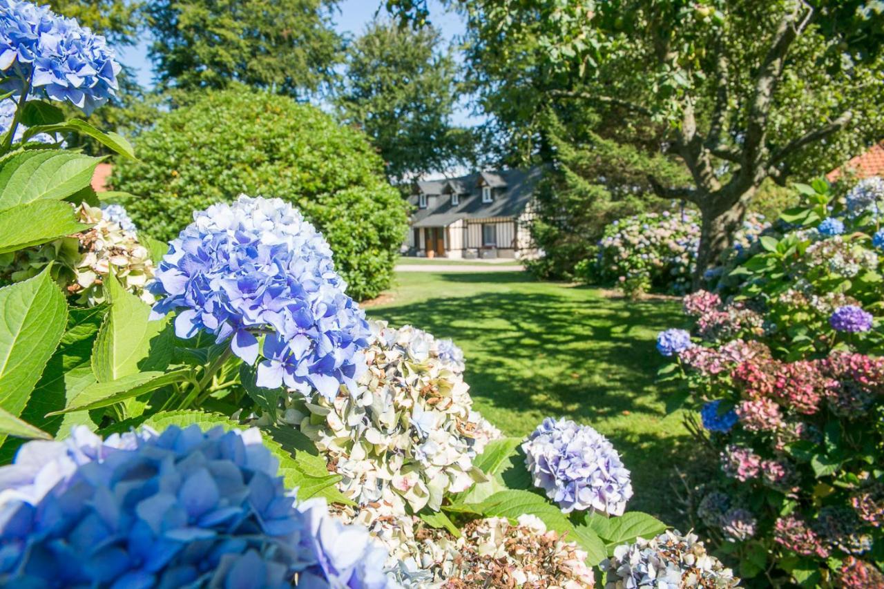 Clos Celeste - Campagne D Etretat Avec Piscine Et Spa (Adults Only) Écrainville Εξωτερικό φωτογραφία